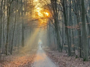 Fitness = Long Term User Intent about Life and Health Fitness = YMYL, high impact on life